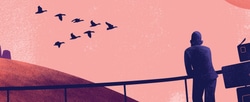 A man watching a flock of migrating birds.
