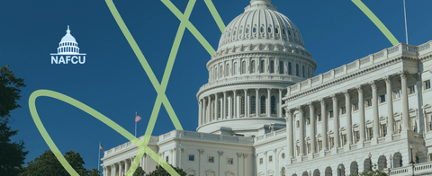 A stylized photo of a government building with a N A F C U logo.