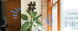 A plant and a hashtag symbol outside of an office.
